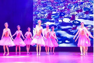 安惠公司獻藝南通市工商聯慶祝改革開放40周年文藝匯演