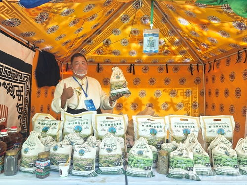 熱貢文化耀拉薩，青藏攜手譜新篇——熱貢文化推介會暨文藝演出在拉薩成功舉辦